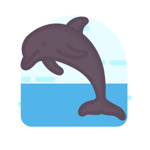 3 to 5 activities with Dolphins
