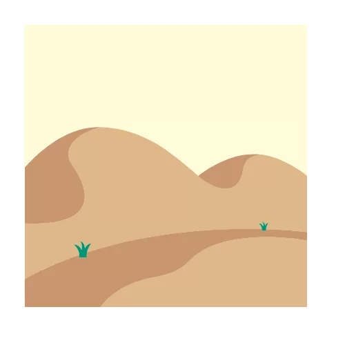 Dune bashing