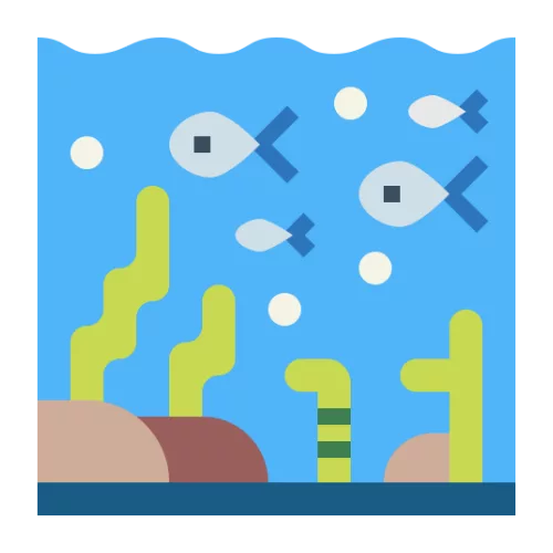 Underwater Zoo