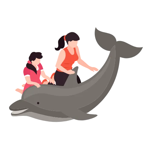 dolphin interaction
