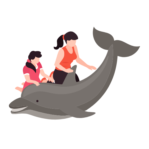 dolphin interaction